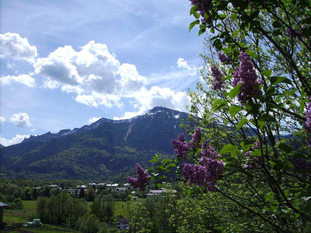 Leitnerhof Hotel Bad Reichenhall Kültér fotó