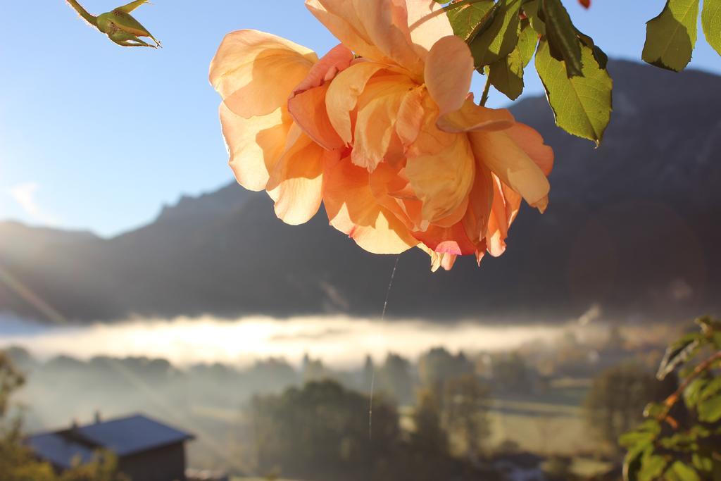 Leitnerhof Hotel Bad Reichenhall Kültér fotó